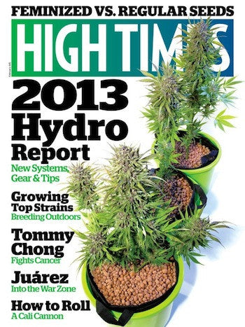 HIGH TIMES Magazine February 2013 - Issue 445