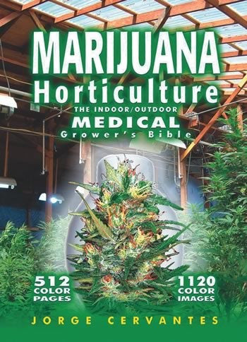 Jorge's Medical Bible - New Indoor Bible